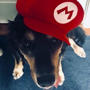 Meet your Posher, Cyndi